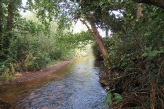 IMG_1106