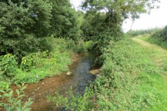 IMG_1108