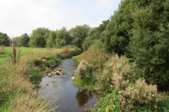 IMG_1109