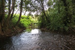 IMG_1129