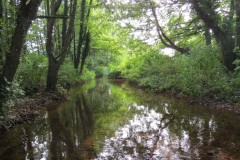 IMG_1131