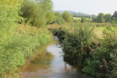 IMG_1163