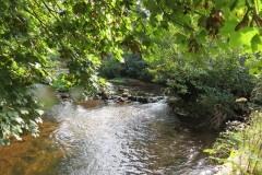 IMG_1200