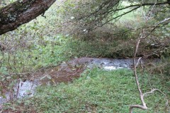 1.-Upstream-from-Aisholt-1