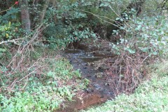 1.-Upstream-from-Aisholt-2