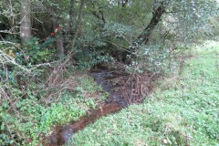 1.-Upstream-from-Aisholt-3