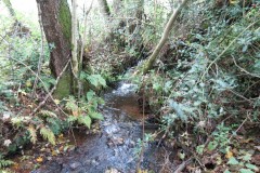 1.-Upstream-from-Aisholt-5