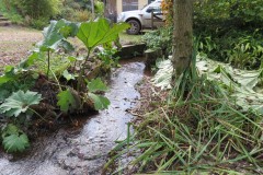 12.-Flowing-through-Brookside-2