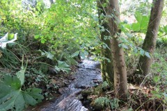 13.-Flowing-through-Brookside-1