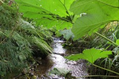 13.-Flowing-through-Brookside-2