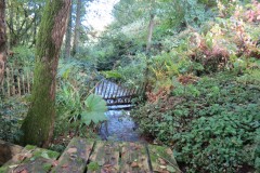 15.-Flowing-from-Brookside