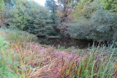 2.-Durborough-Farm-Pond-1