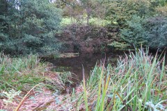 2.-Durborough-Farm-Pond-2