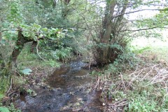 20.-Looking-downstream-from-Aisholt-Footbridge