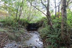 5.-Flowing-frm-Durborough-Pond