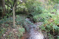 6.-Upstream-from-Durborough-Ford