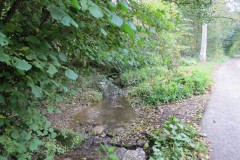 7.-Durborough-Ford-2