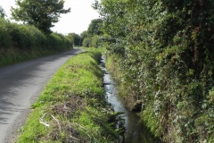 4.-Looking-downstream-to-Dimmer-Lane