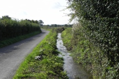 6.-Looking-downstream-from-Dimmer-Lane