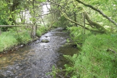 1. Upstream from Furzehill Bridge