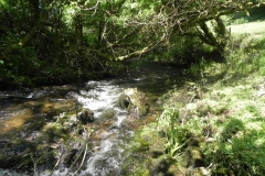 16. Downstream from Radsbury Lane ford (1)