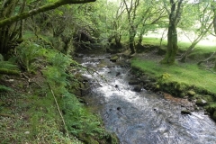 16. Downstream from Radsbury Lane ford (2)