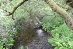 1a. Looking upstream from Furzehill Bridge