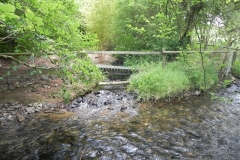 7. Downstream from Furzehill Bridge