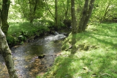 9. Upstream from Radsbury Lane (17)
