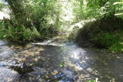 9. Upstream from Radsbury Lane (2)