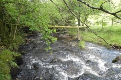 9. Upstream from Radsbury Lane (21)