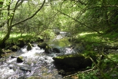 9. Upstream from Radsbury Lane (23)