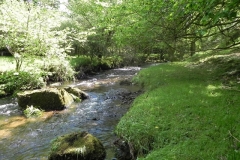 9. Upstream from Radsbury Lane (24)