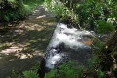 9. Upstream from Radsbury Lane (3)