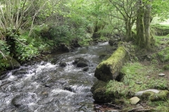 9. Upstream from Radsbury Lane (5)