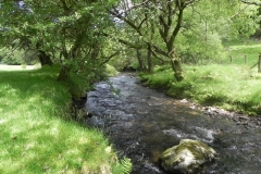 9. Upstream from Radsbury Lane (7)