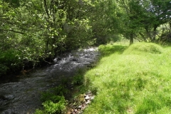9. Upstream from Radsbury Lane (8)