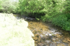 9. Upstream from Radsbury Lane (9)