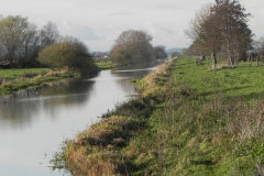 19.-Looking-downstream-from-Greylake-Sluice-.jpg