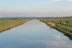 2.-Looking-upstream-from-Greylake-Bridge.jpg