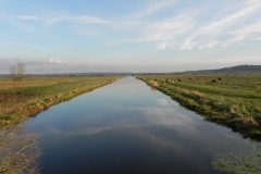 3.-Looking-upstream-from-Greylake-Bridge.jpg