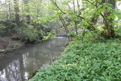 2.-Downstream-from-Hapsford-Mill-Weir