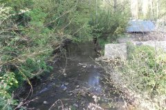 5.-Downstream-from-Hapsford-Bridge