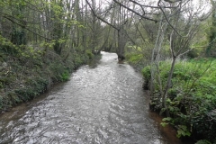 1. Looking upstream from ROW footbridge No. 4789
