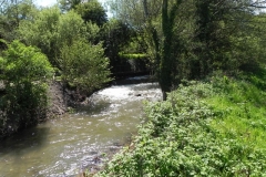 13. Looking upstream to Torr Fishery Weir