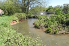 15. Downstream from Torr Fishery Weir