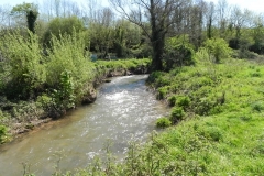 16. Downstream from Torr Fishery Weir