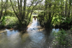 17. Outlet from Torr Fishery