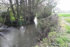 19. Upstream from Washford Mill Leat Weir