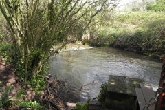 21. Upstream from Washford Mill Leat Weir